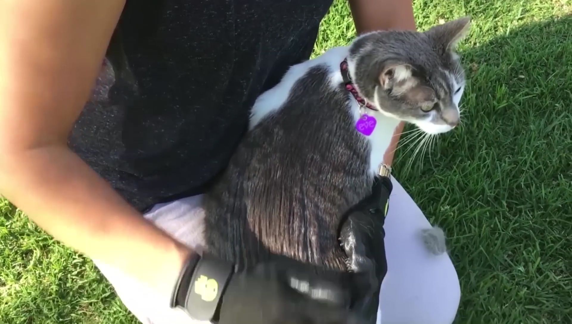 Demonstration of glove usage