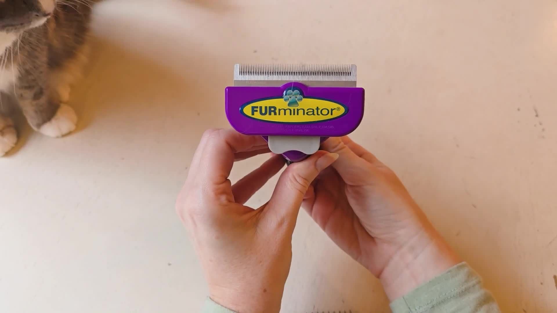 Initial shot of the speaker holding the Furminator.