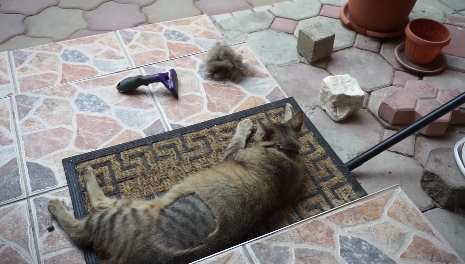 Amount of fur removed