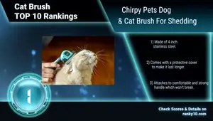 Best Cat Brushes 2018: Top 10 Ranked & Reviewed
