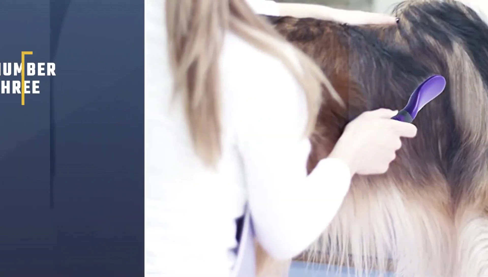 The Hertzko Self Cleaning Slicker Brush shown
