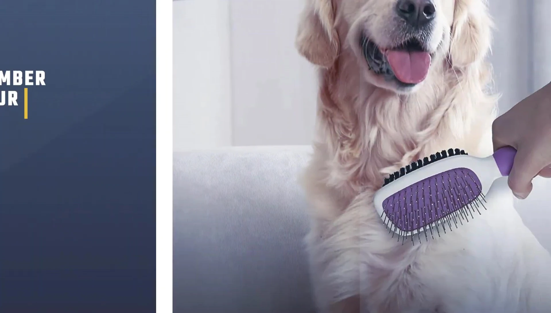 The Poodle Pet Double-Sided Brush displayed