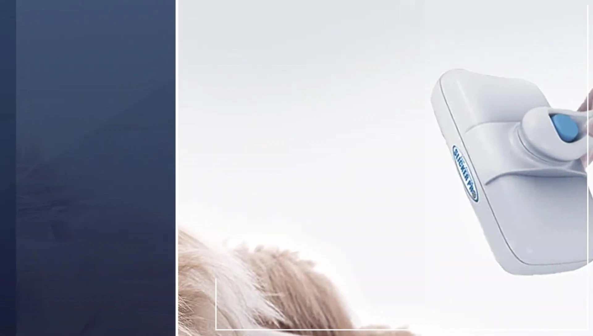 Demonstration of the Pet Portal brush's cleaning mechanism
