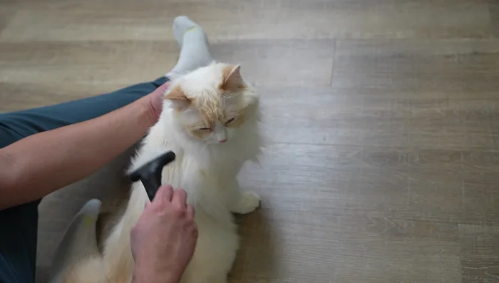 Wide-tooth comb to catch stray hairs and leave coat silky.