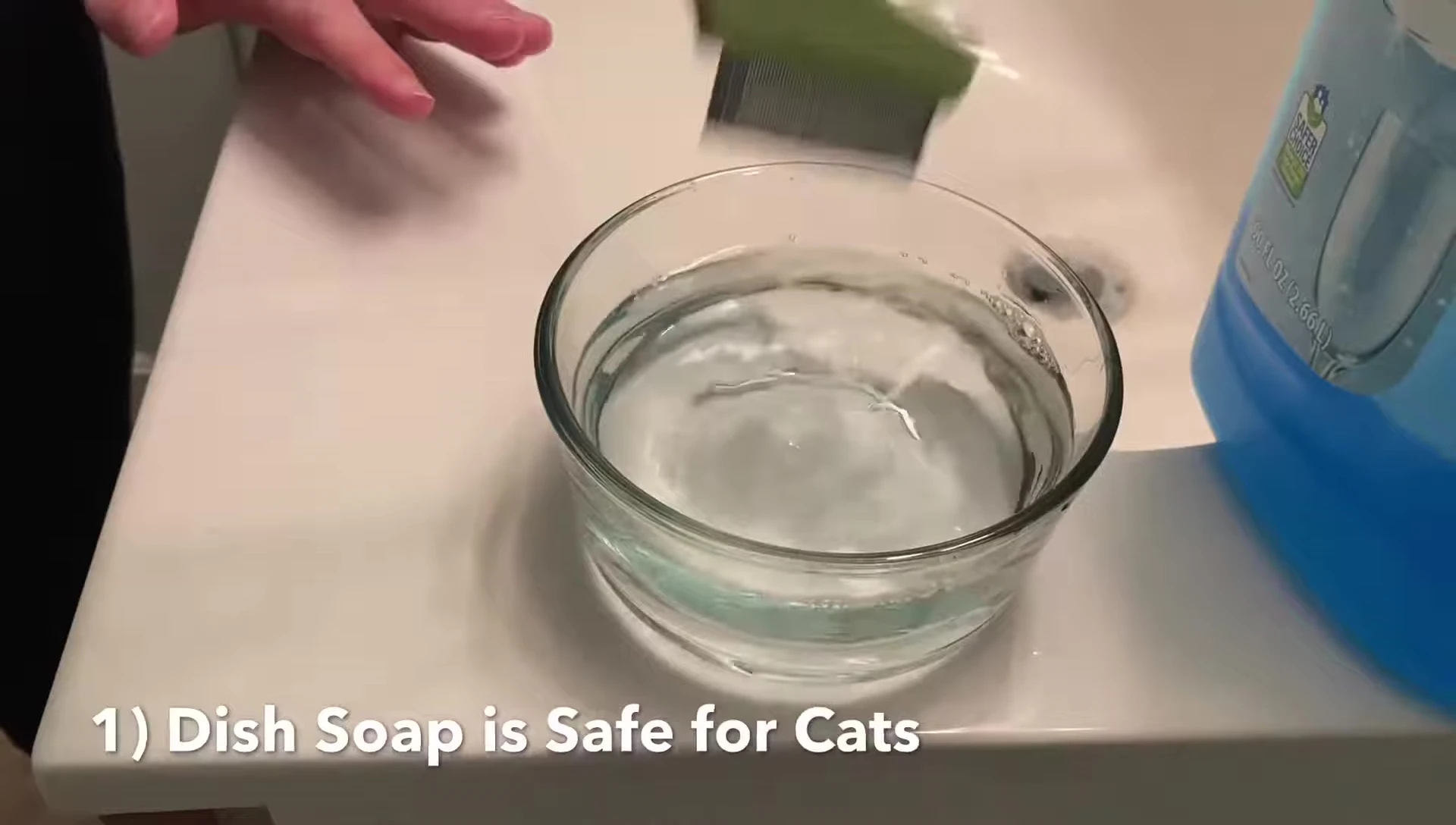 Close-up of the soapy water, highlighting its effectiveness