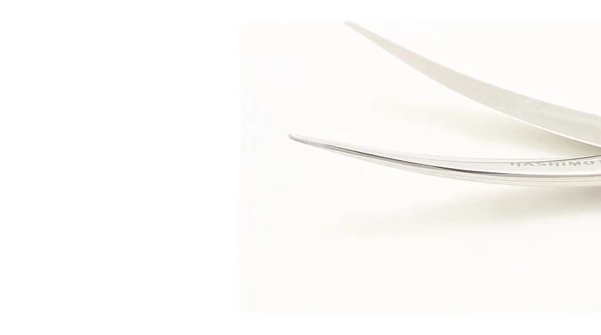 Hashimoto scissors showcasing the blade length and curve