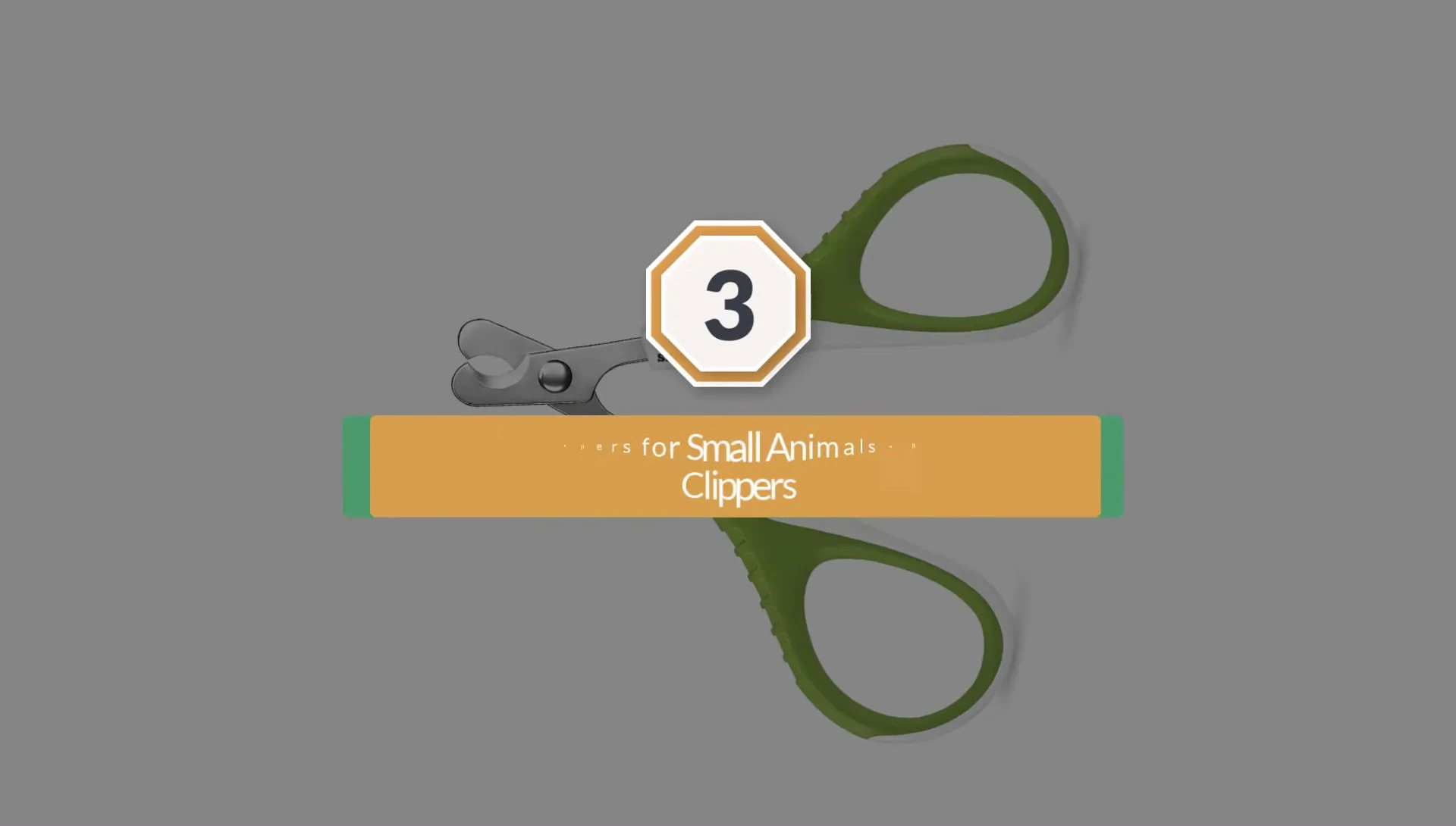 Shiny Pet nail clippers shown in the video.
