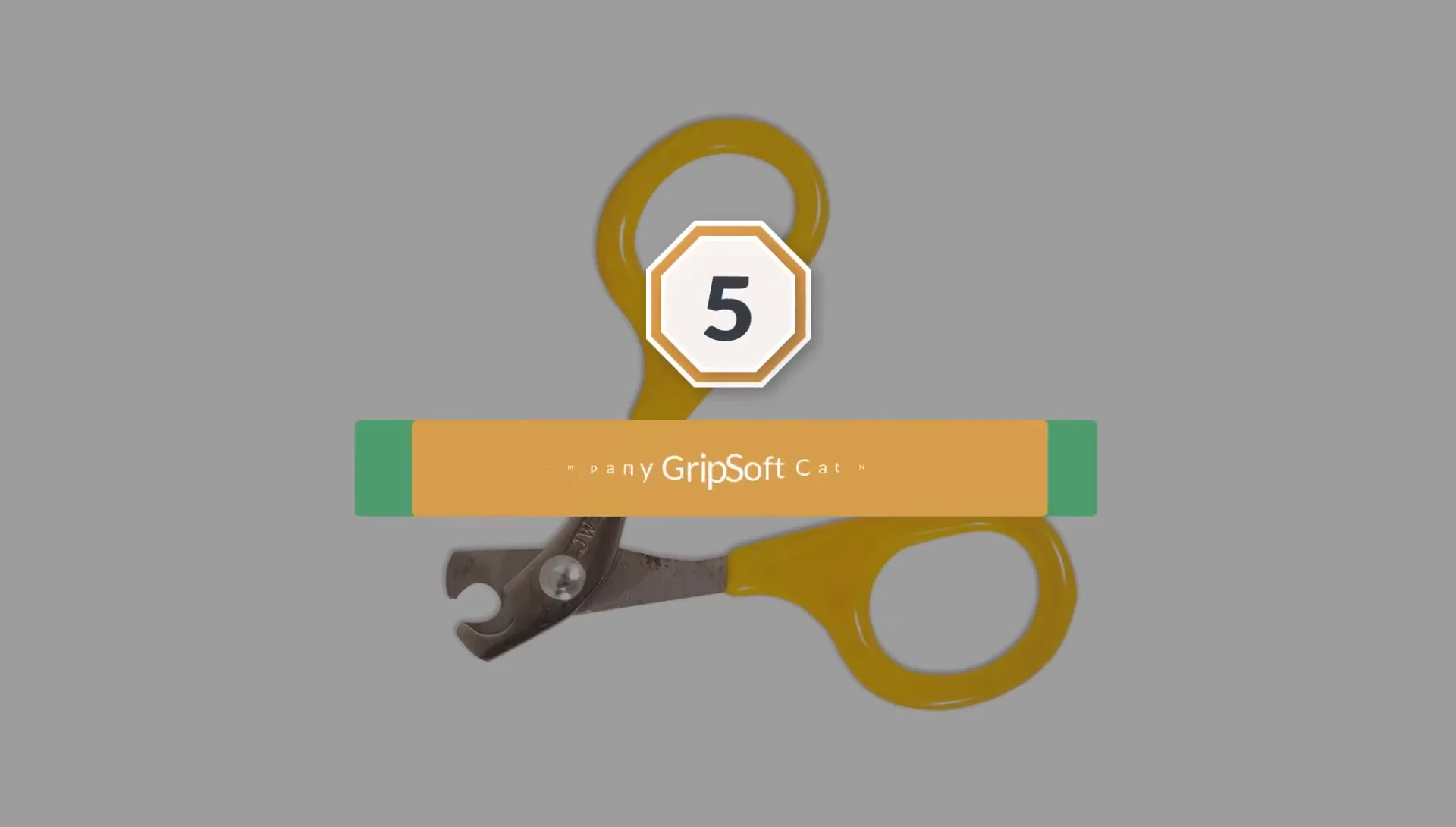 JW Pet Company Grip Soft Cat Nail Clippers displayed in the review.