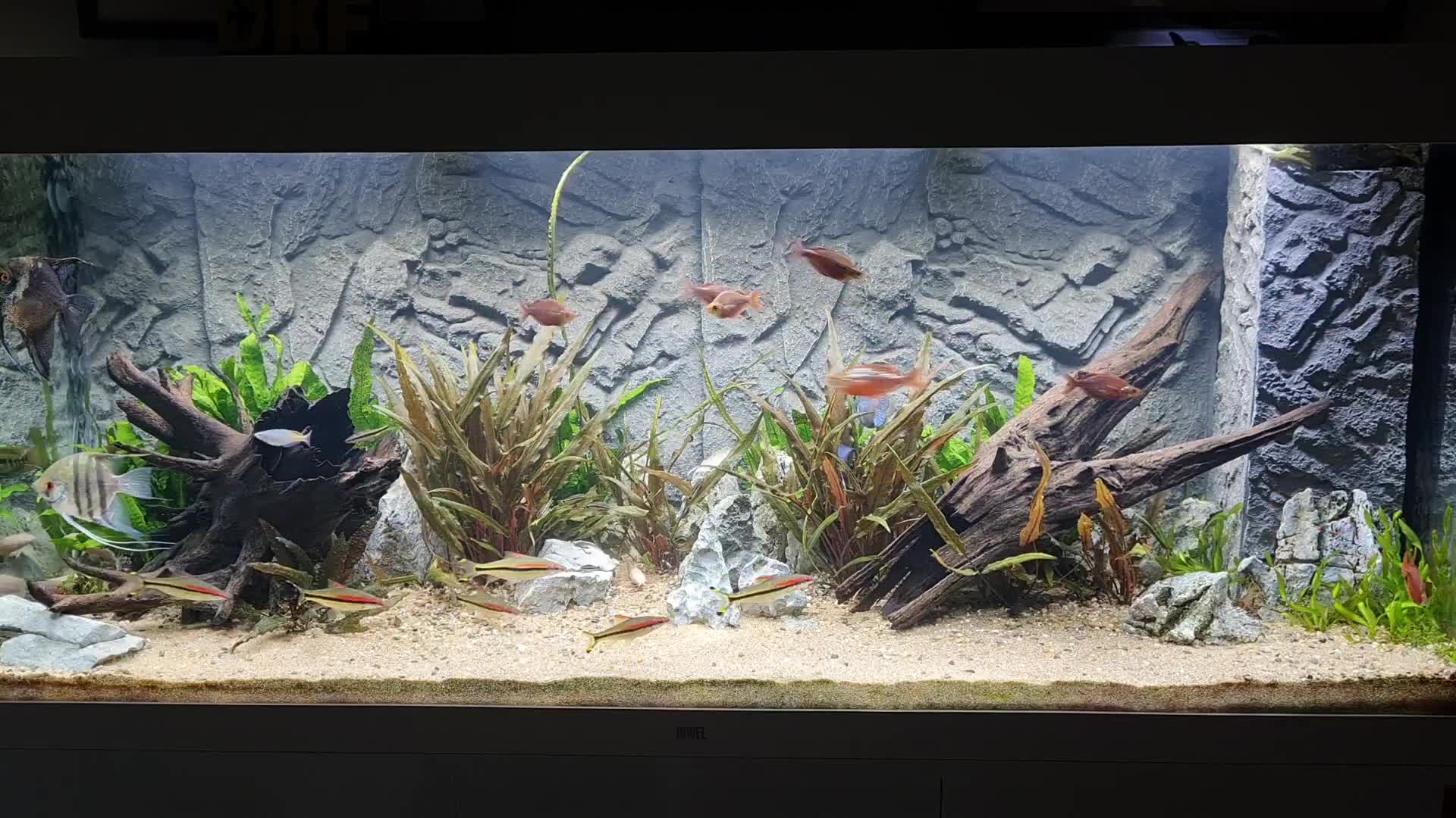 Close-up of the cosmetic damage on the back of the aquarium