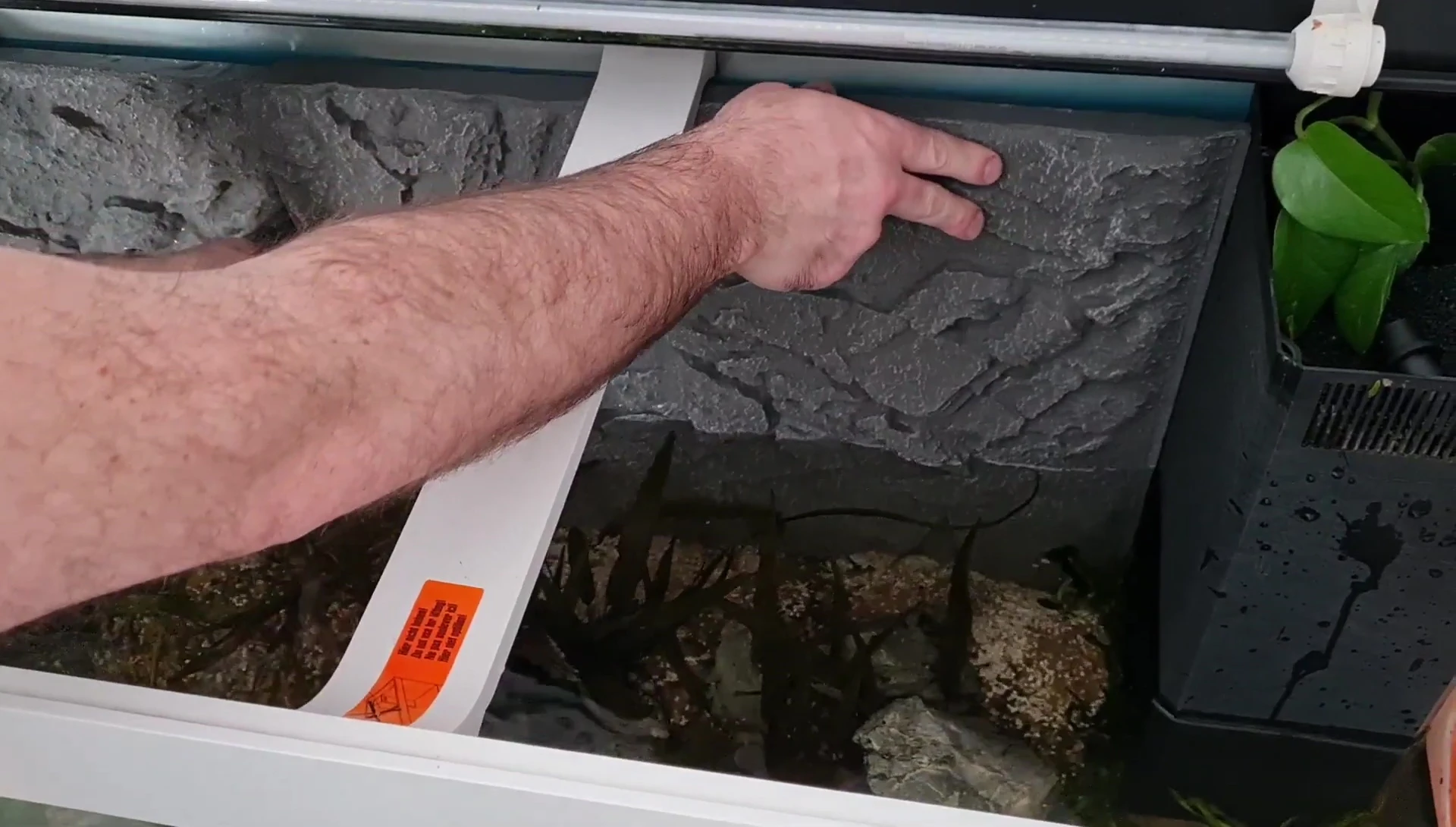 The filter plate positioned in front of the aquarium filter
