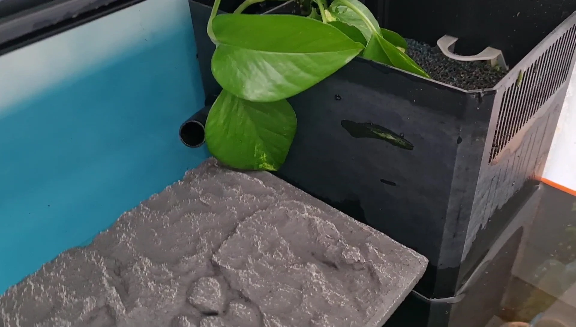 Showing the insufficient coverage of the filter plate
