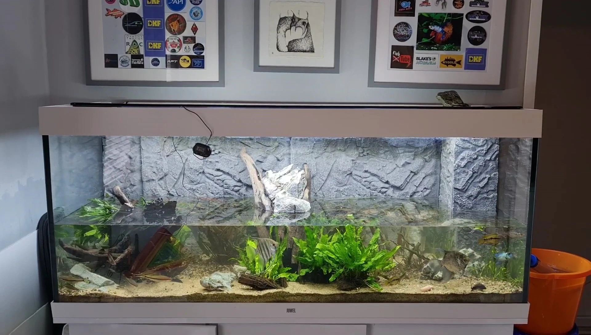 The completed aquarium with the 3D background