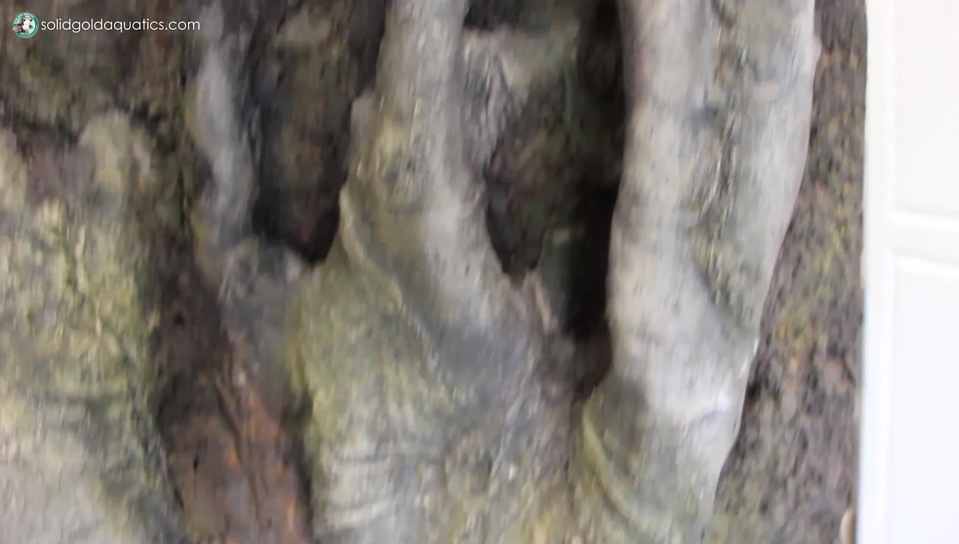 Showing the back of the background, highlighting the thin and molded design