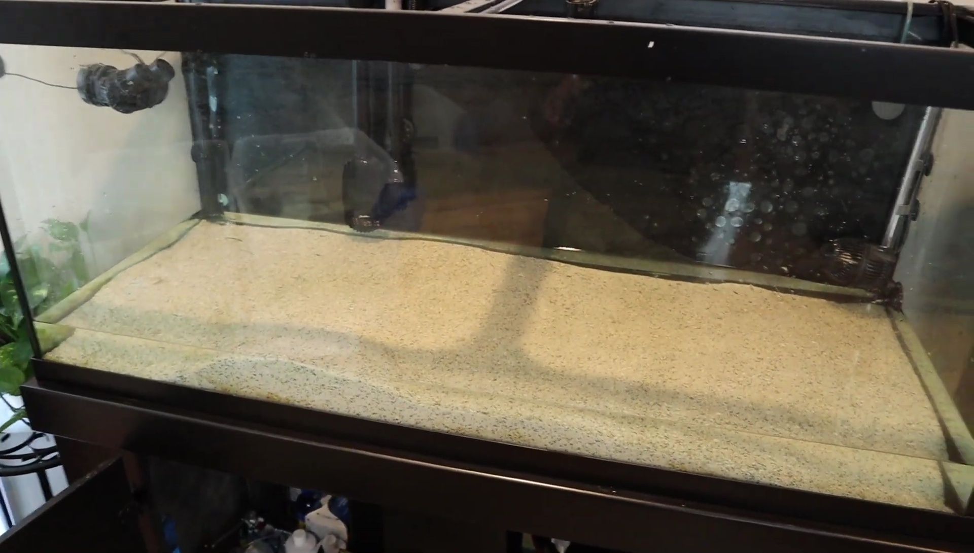 Emptying the substrate from the main tank.