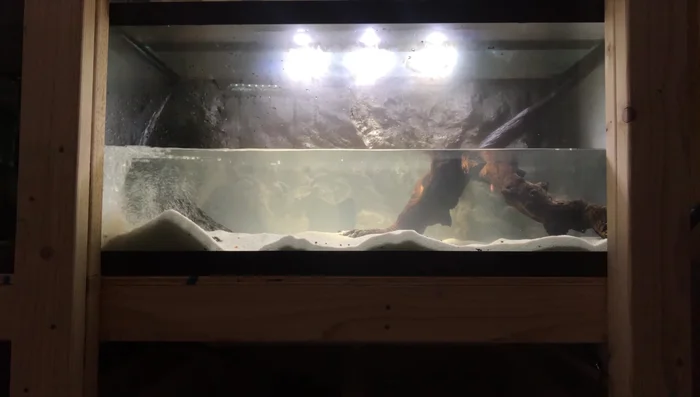 Secure the background inside the aquarium using silicone. Let it cure for 24 hours before filling the tank. Perform a few large water changes afterwards to stabilize pH levels.