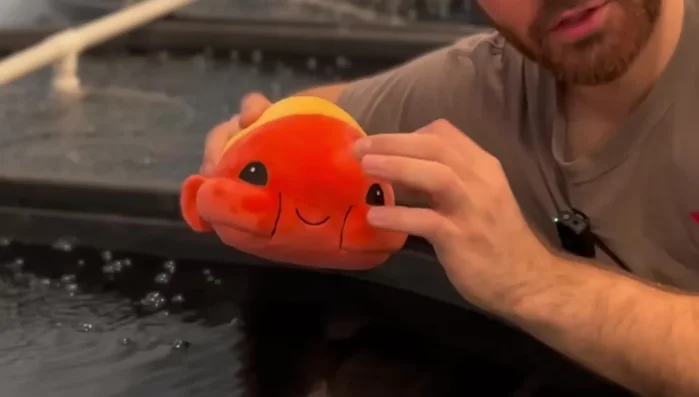 Use exterior-grade paint on walls and ceilings. This is designed to withstand outdoor conditions and is more resistant to moisture.