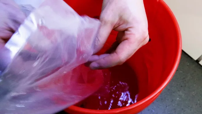 Acclimate fish using drip acclimation.