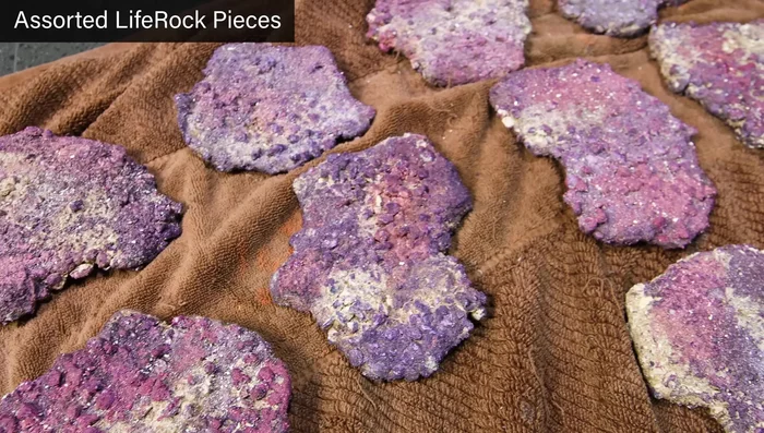 Arrange the hardscape (rocks) according to the desired design, using epoxy to secure the pieces. Conceal exposed epoxy with sand and super glue.