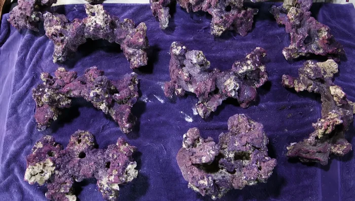 Arrange the hardscape (rocks) according to the desired design, using epoxy to secure the pieces. Conceal exposed epoxy with sand and super glue.