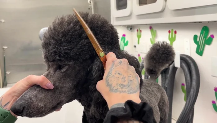 Cut in small, controlled sections, gradually working your way around the area being trimmed.