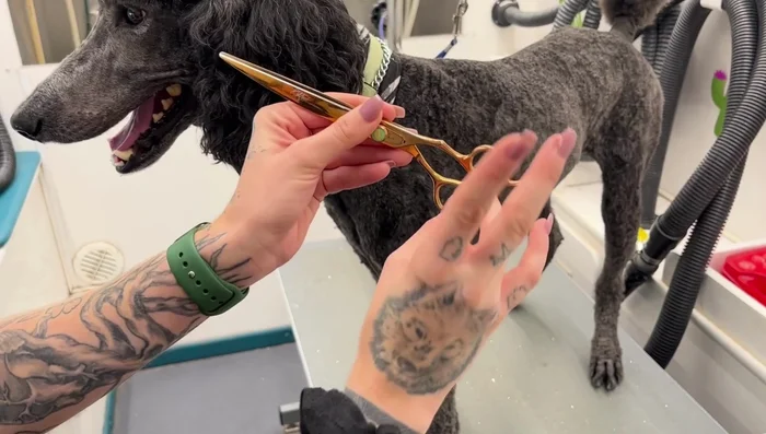 Hold the shears firmly but not tightly, ensuring a comfortable grip.