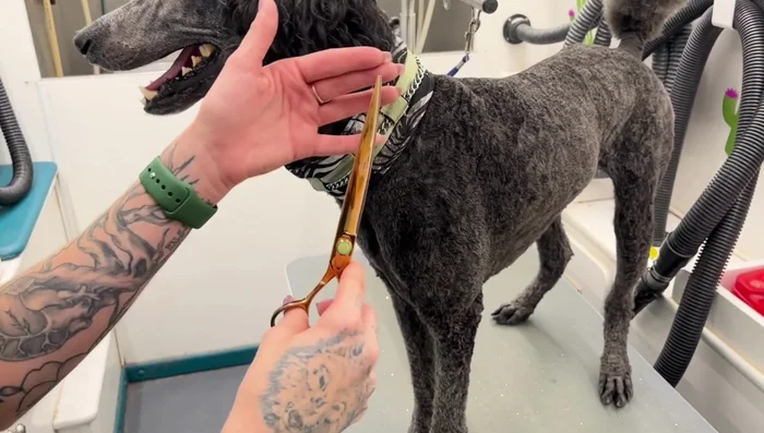 Hold the shears firmly but not tightly, ensuring a comfortable grip.