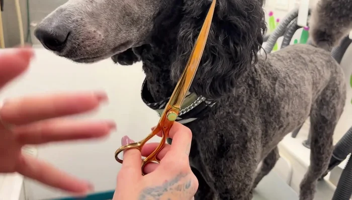 Maintain a steady, straight line while cutting, avoiding a bouncing motion.