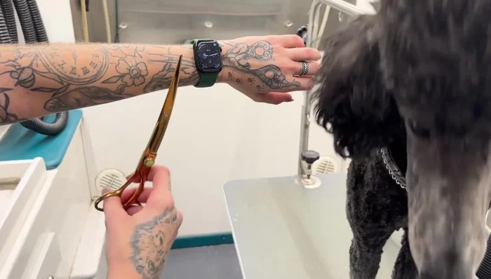 Maintain a steady, straight line while cutting, avoiding a bouncing motion.