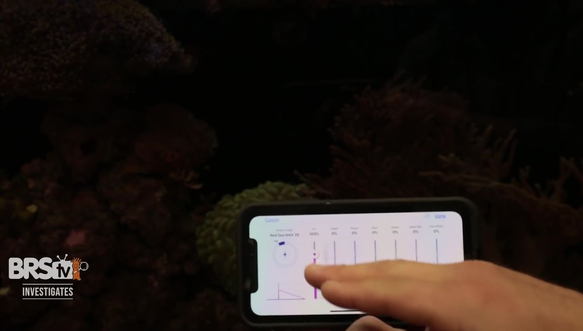Multiple aquariums with different colored backgrounds are shown.