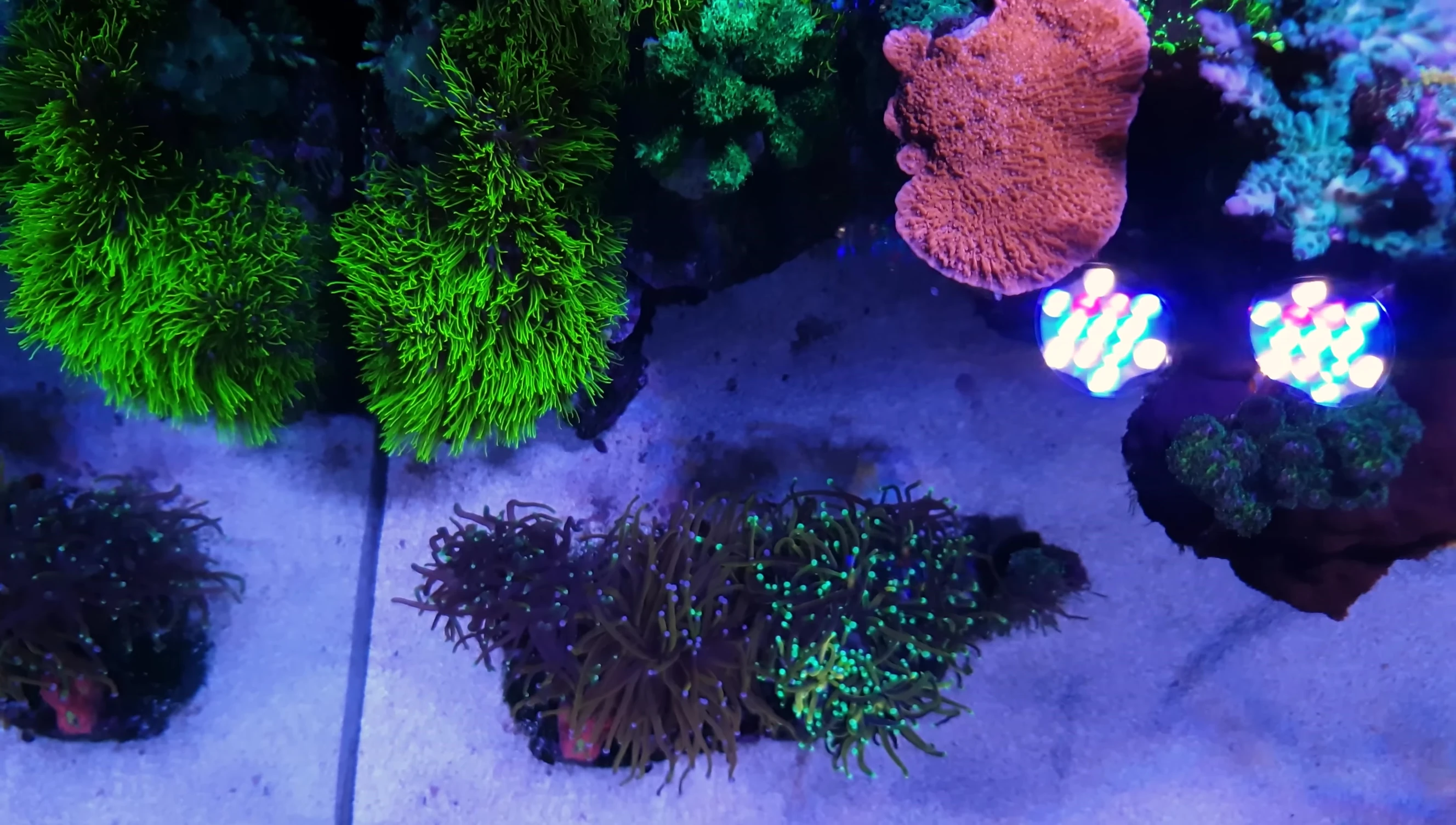 Image relating to Tim's background and early interest in marine life.