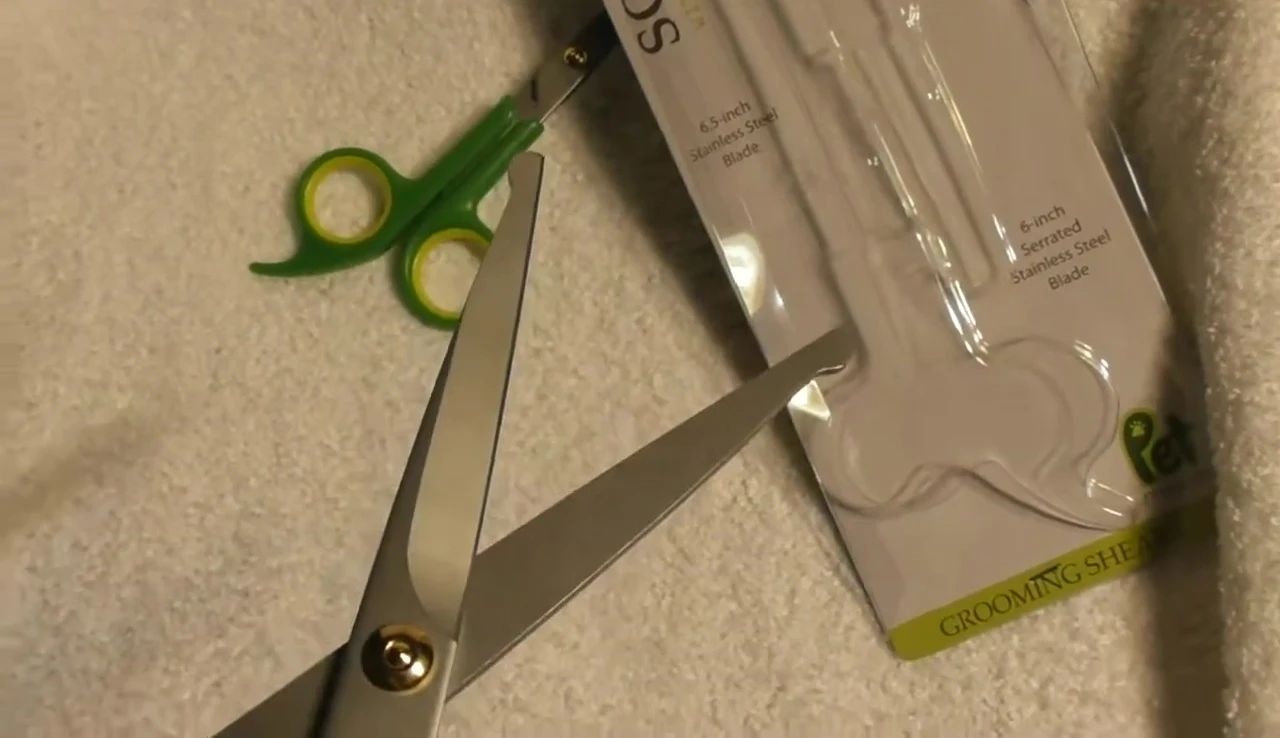 Close-up shot showcasing the sharpness of the blades