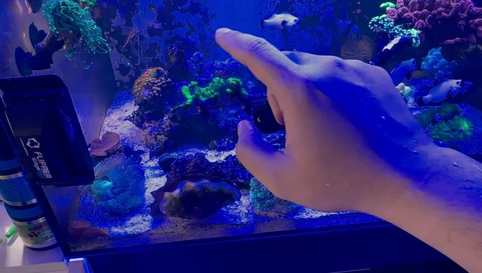 Perform a water change on the side being rescaped, removing detritus.