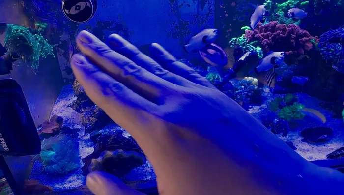 Clean the back of the tank.