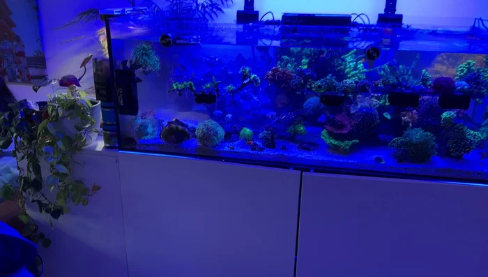 Clean the back of the tank.