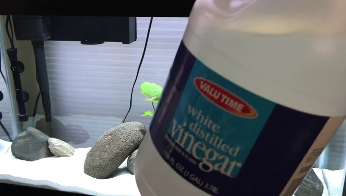 Scrub rocks with a brush and hot tap water for 2-5 minutes, ensuring thorough cleaning.