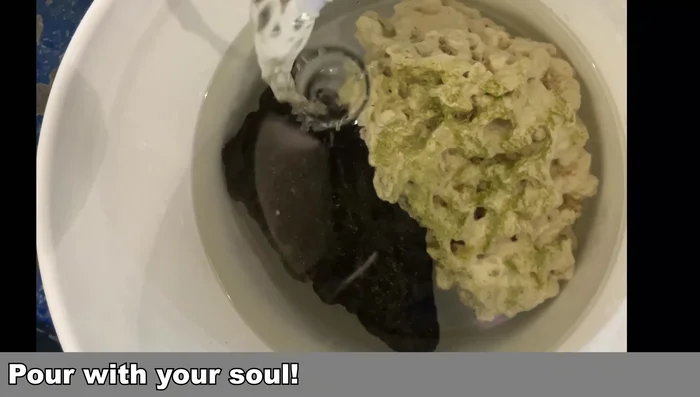 Add bleach to the water (the speaker uses a generous splash).