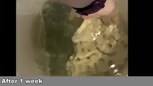 Deep Clean Aquarium Rocks: Remove Algae & Restore Shine!
