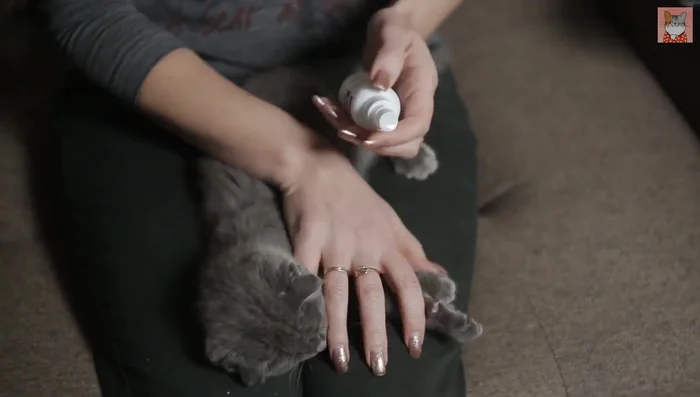 Use a flea comb to remove fleas, flea dirt, and debris.