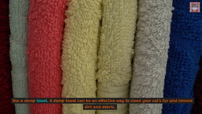 If tolerated by your cat, use a warm blow dryer to dry their fur after damp towel cleaning.