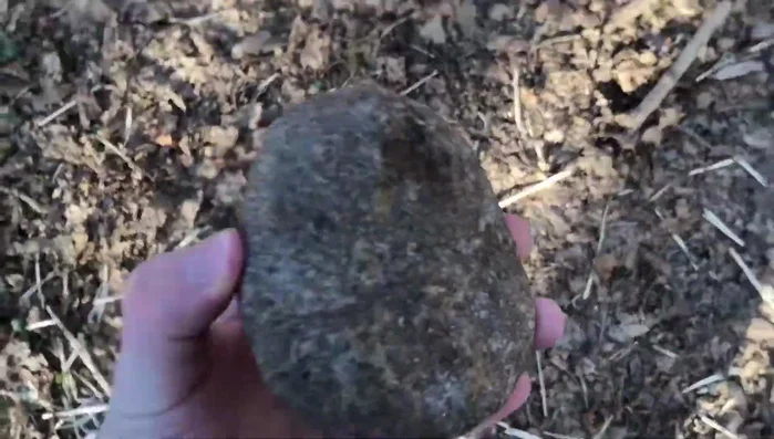 Collect rocks; prioritize rocks with interesting shapes and sizes.