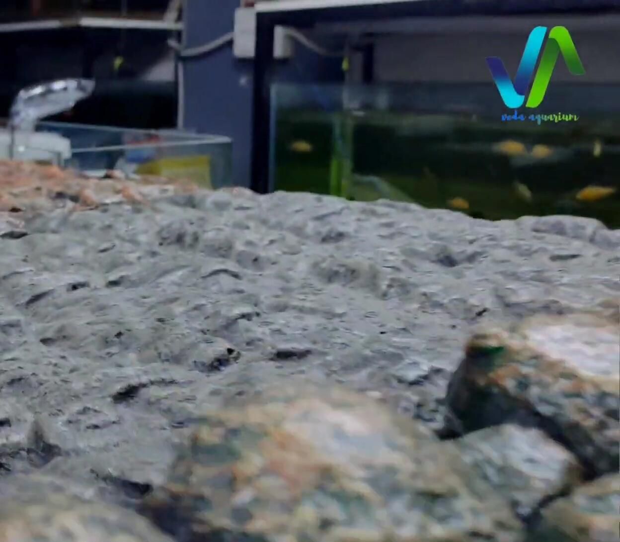 Close-up of a realistic 3D wallpaper design