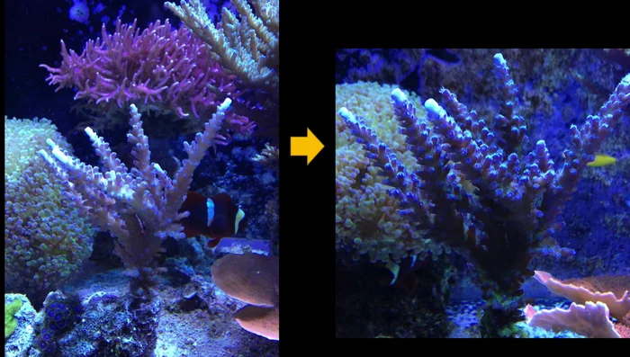 Gradually increase feeding of the tank.