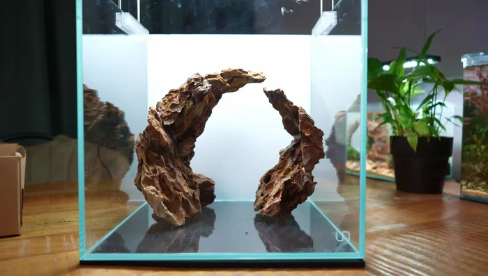 Add the hardscape to the aquarium and refine the structure.