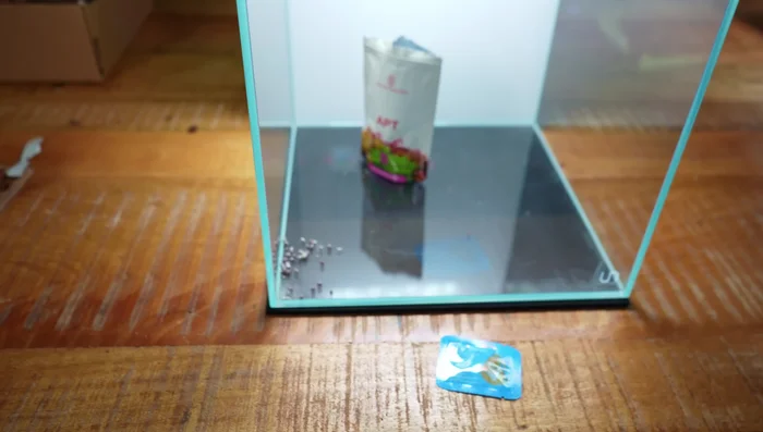 Add the substrate to the aquarium.