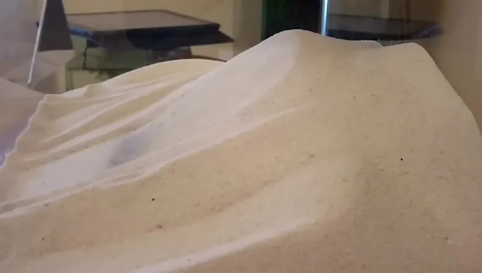 Arrange hardscape elements (reef stone, manzanita wood, etc.) to create an interesting layout.