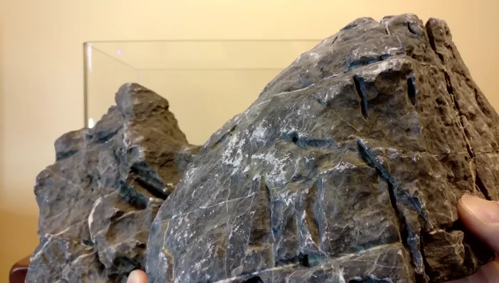 Arrange hardscape elements (reef stone, manzanita wood, etc.) to create an interesting layout.