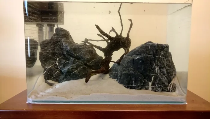 Add floater plants to cover the surface and prevent jumping.