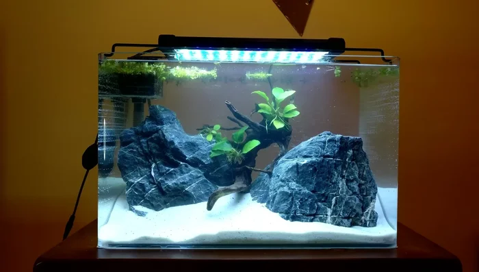 Cycle the tank: using beneficial bacteria, fish food, or water from an established tank.