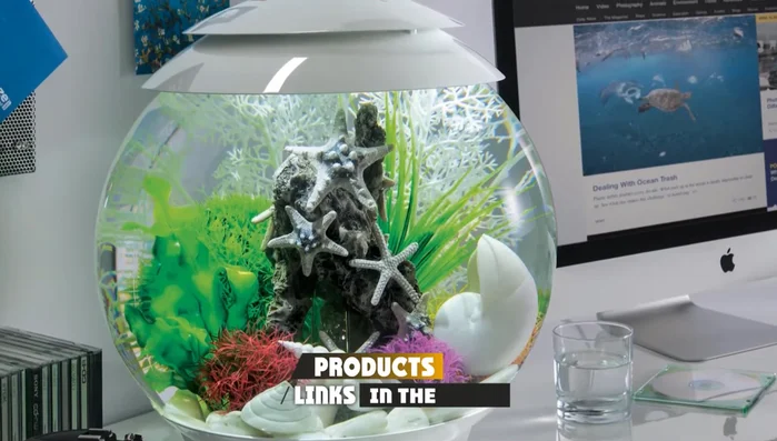 Your Easy Plant Sets: Variety of Styles & Decor