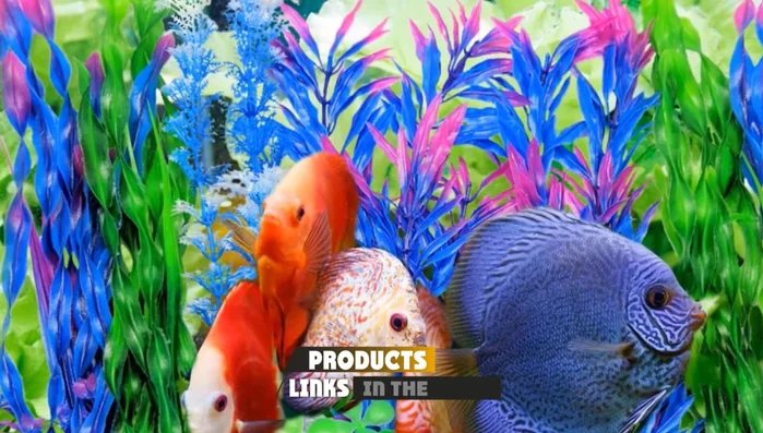 Your Easy Plant Sets: Variety of Styles & Decor